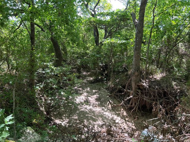 00 Bethel Cannon & Pilot Grove Road, Whitewright, TX 75491