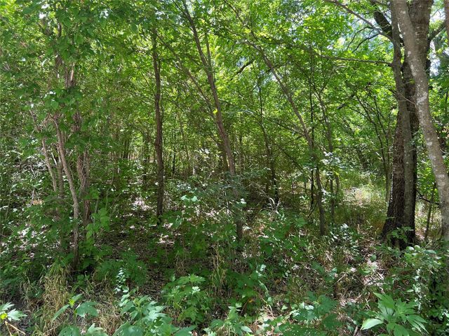 00 Bethel Cannon & Pilot Grove Road, Whitewright, TX 75491