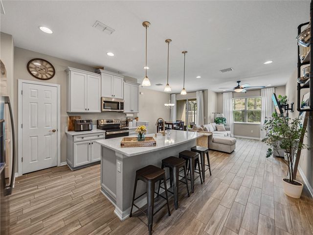 29934 SOUTHWELL LANE, Wesley Chapel, FL 33543