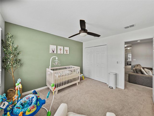 29934 SOUTHWELL LANE, Wesley Chapel, FL 33543
