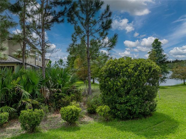 29934 SOUTHWELL LANE, Wesley Chapel, FL 33543