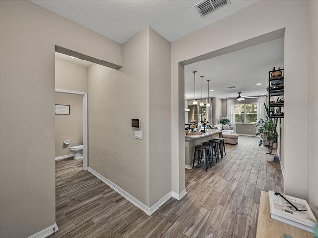 29934 SOUTHWELL LANE, Wesley Chapel, FL 33543