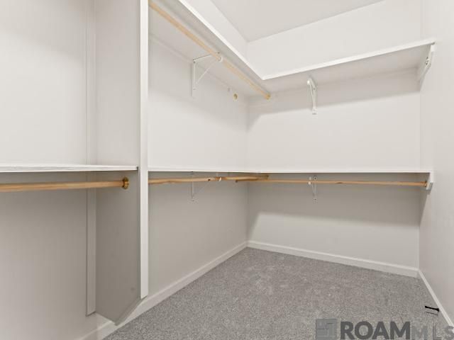 10365 Fountain Ln, Denham Springs, LA 70726