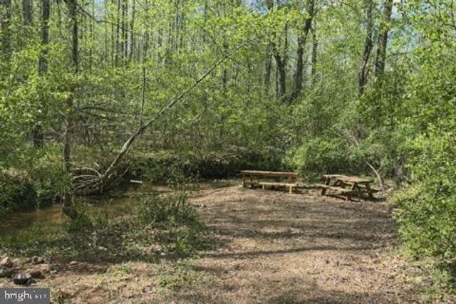 3417 BEAR POND LN, Amissville, VA 20106