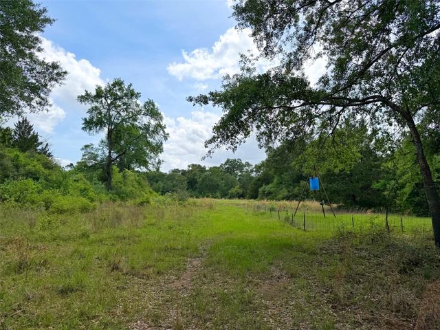 100 ac Cr 408, Normangee, TX 77871