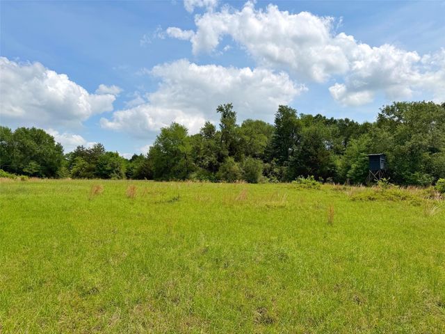 100 ac Cr 408, Normangee, TX 77871