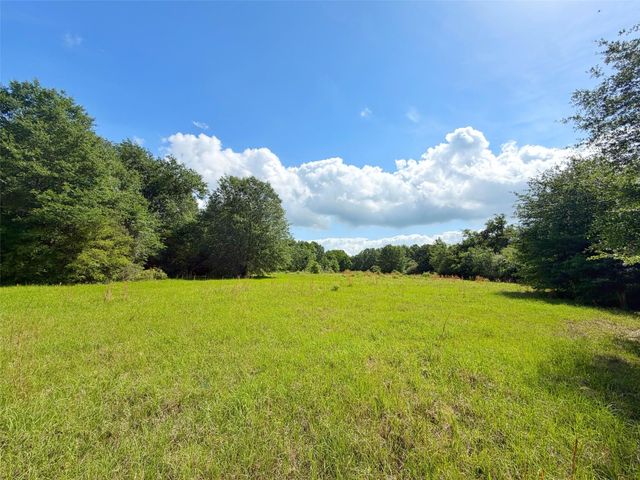 100 ac Cr 408, Normangee, TX 77871