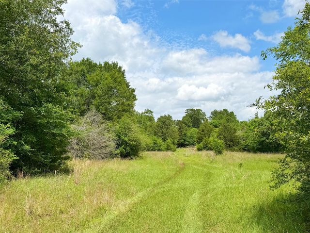 100 ac Cr 408, Normangee, TX 77871