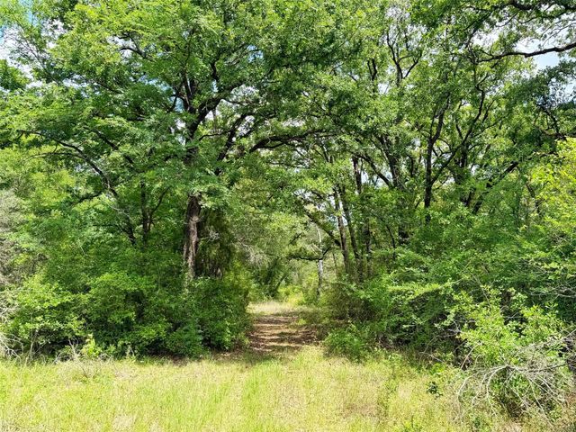 100 ac Cr 408, Normangee, TX 77871