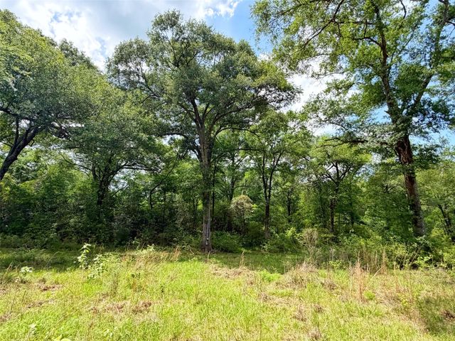 100 ac Cr 408, Normangee, TX 77871