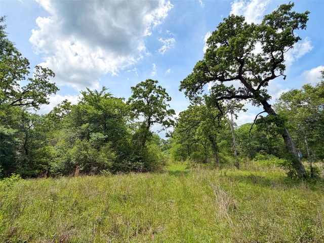 100 ac Cr 408, Normangee, TX 77871