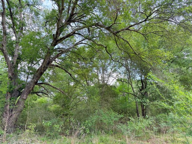 100 ac Cr 408, Normangee, TX 77871