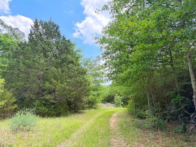 100 ac Cr 408, Normangee, TX 77871