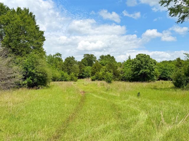 100 ac Cr 408, Normangee, TX 77871