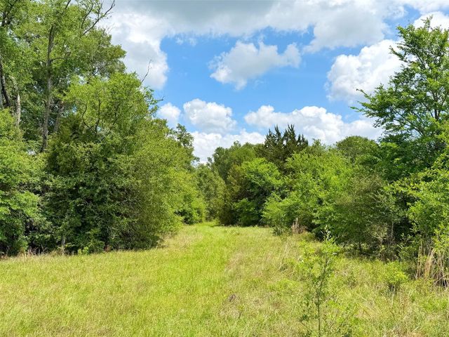 100 ac Cr 408, Normangee, TX 77871