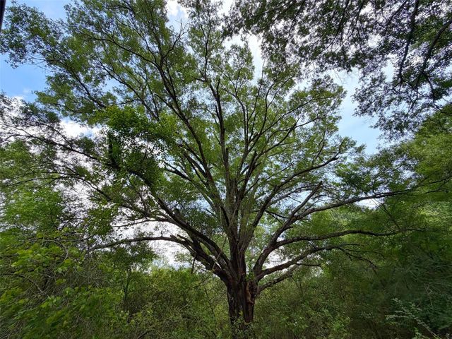 100 ac Cr 408, Normangee, TX 77871