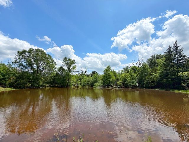 100 ac Cr 408, Normangee, TX 77871