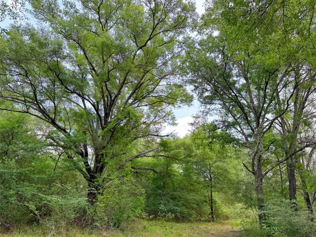 100 ac Cr 408, Normangee, TX 77871