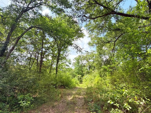 100 ac Cr 408, Normangee, TX 77871
