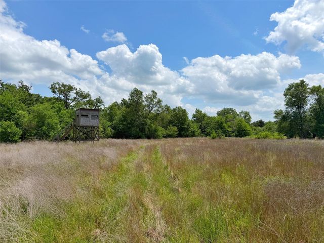 100 ac Cr 408, Normangee, TX 77871