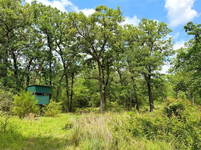 100 ac Cr 408, Normangee, TX 77871