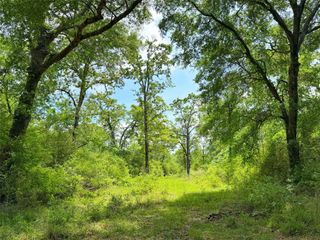 100 ac Cr 408, Normangee, TX 77871