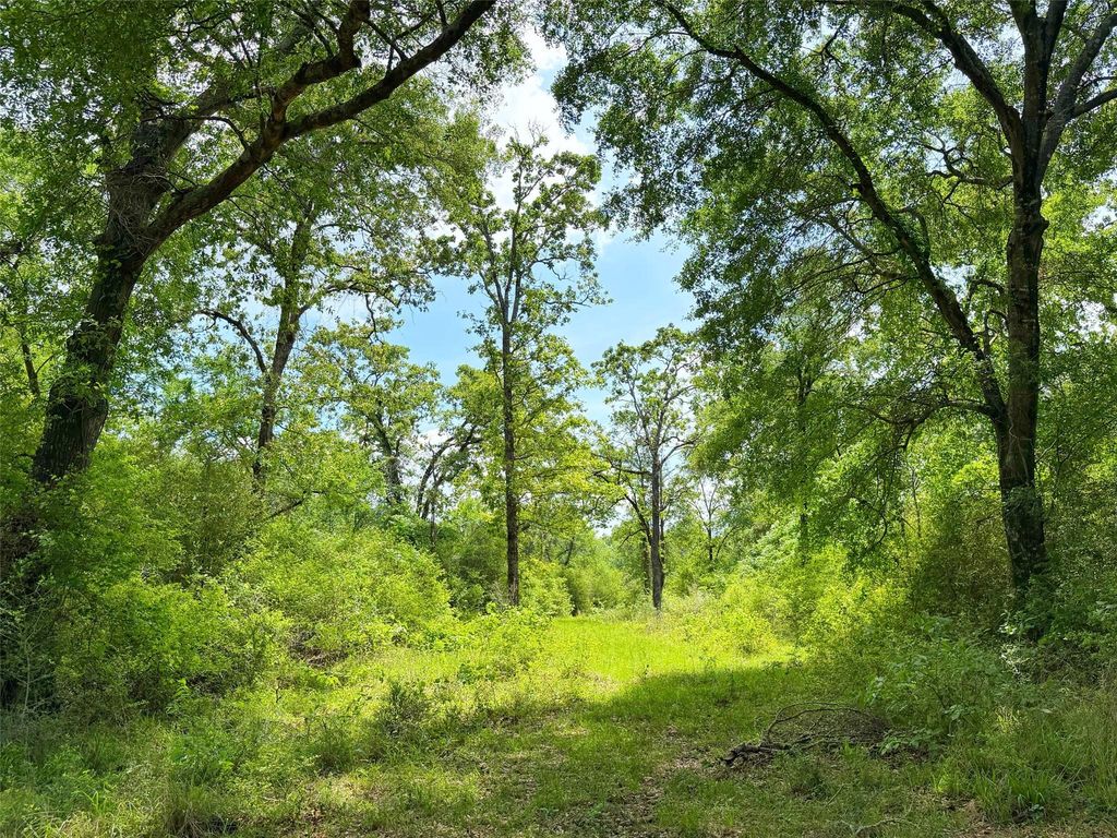 100 ac Cr 408, Normangee, TX 77871