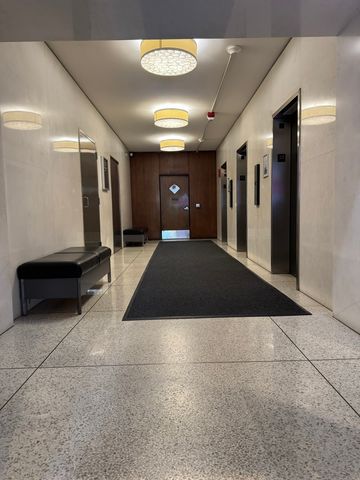 3600 N Lake Shore Drive 616, Chicago, IL 60613