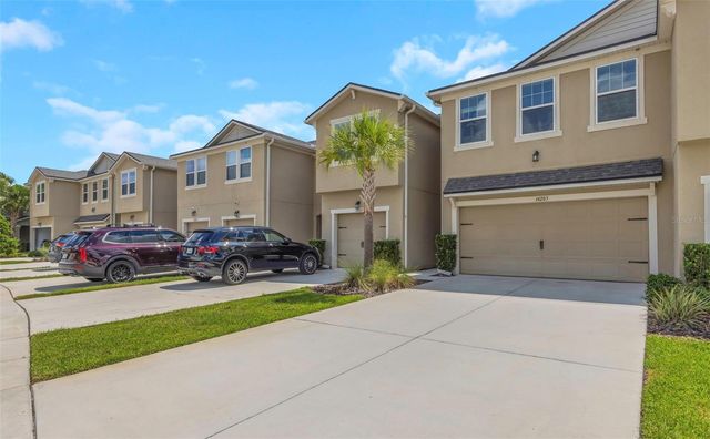 14203 DAMSELFLY DRIVE, Tampa, FL 33625