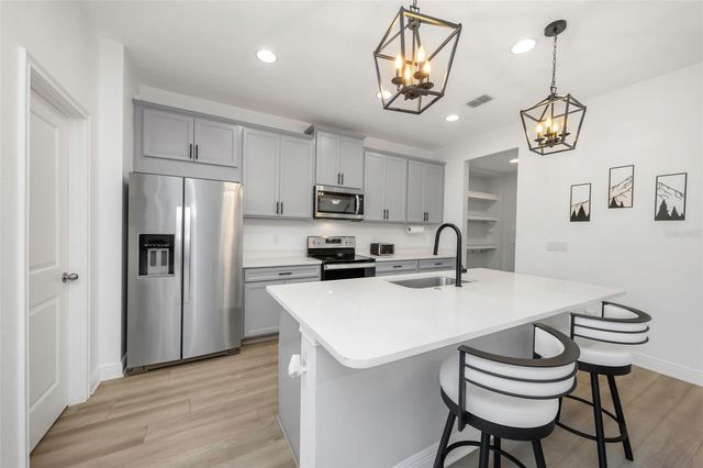 14203 DAMSELFLY DRIVE, Tampa, FL 33625