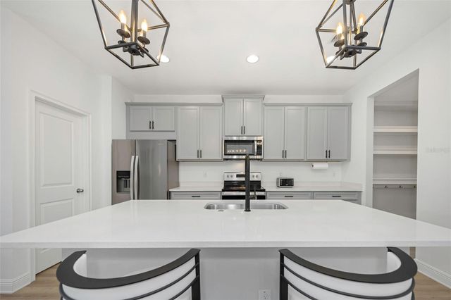 14203 DAMSELFLY DRIVE, Tampa, FL 33625