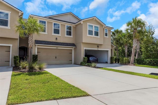 14203 DAMSELFLY DRIVE, Tampa, FL 33625
