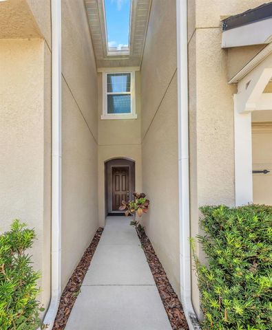 14203 DAMSELFLY DRIVE, Tampa, FL 33625