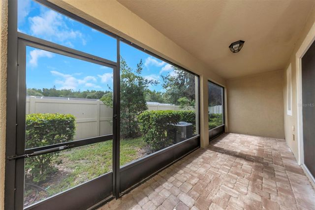 14203 DAMSELFLY DRIVE, Tampa, FL 33625