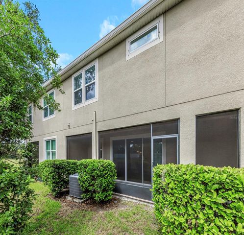 14203 DAMSELFLY DRIVE, Tampa, FL 33625