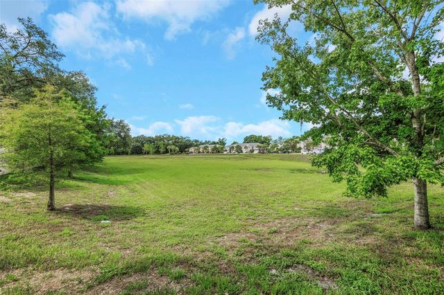 14203 DAMSELFLY DRIVE, Tampa, FL 33625