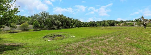 14203 DAMSELFLY DRIVE, Tampa, FL 33625