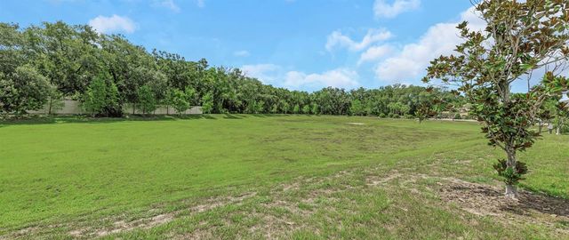 14203 DAMSELFLY DRIVE, Tampa, FL 33625