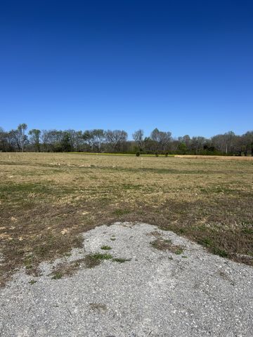94 Watson Ct, Leoma, TN 38468