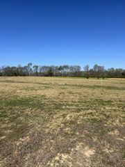94 Watson Ct, Leoma, TN 38468