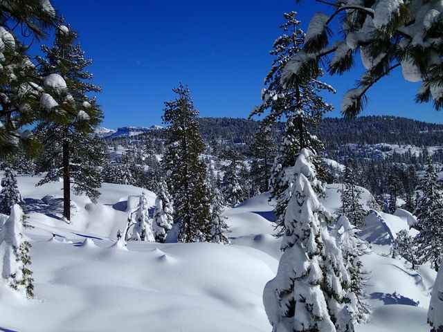 1941 Fairway Dr, Arnold, CA 95223