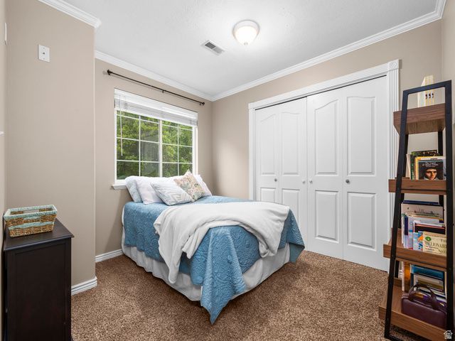 807 HILLSDALE LN, Provo, UT 84606
