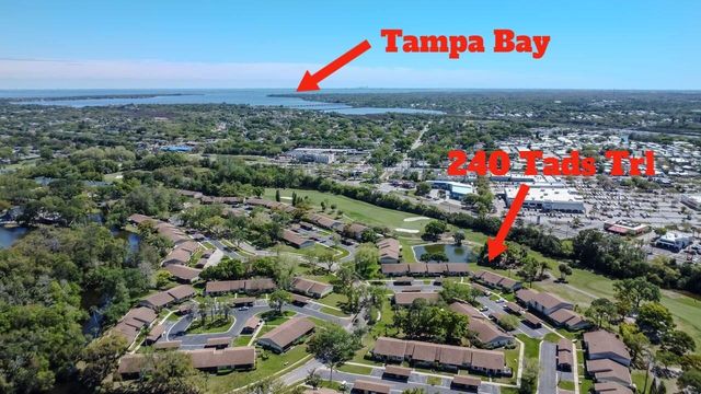 240 TADS TRAIL, Oldsmar, FL 34677