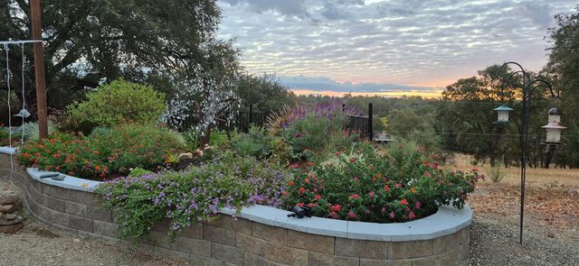 9144 Cherry Ave, Orangevale, CA 95662