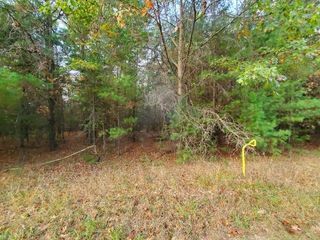 0 Buffalo Trail, Alger, MI 48610