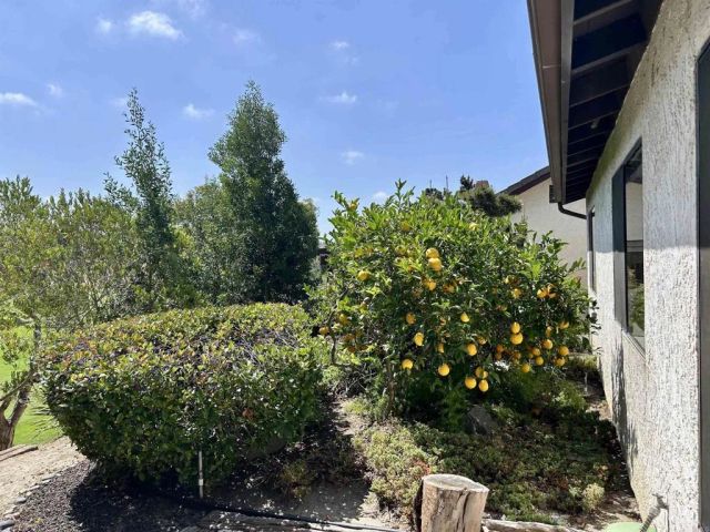 2162 Palmer Drive, Oceanside, CA 92056