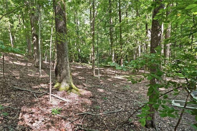 49 Little Beaver Run, Big Canoe, GA 30143
