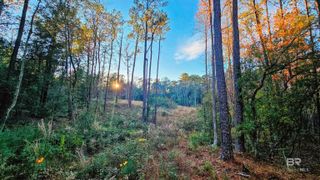 7418 Bromley Road, Bay Minette, AL 36507