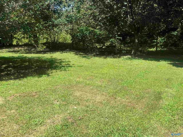 3861 Matt Morrow Road, Arab, AL 35016