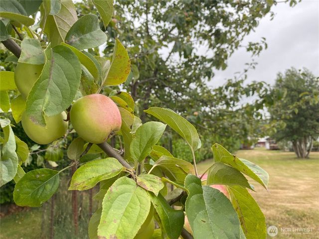 234 SE E st, Forks, WA 98331